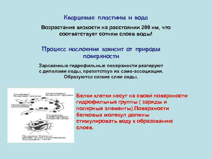 Кварцевые пластины и вода Возрастание вязкости на расстоянии 200 нм, что соответствует сотням слоев