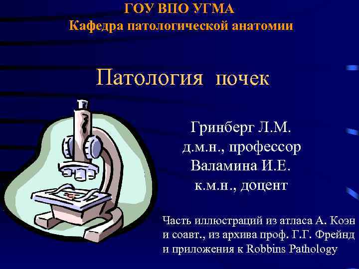 ГОУ ВПО УГМА Кафедра патологической анатомии Патология почек Гринберг Л. М. д. м. н.