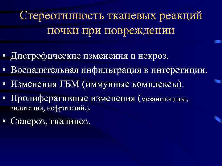 Стереотипность тканевых реакций почки при повреждении • • Дистрофические изменения и некроз. Воспалительная инфильтрация