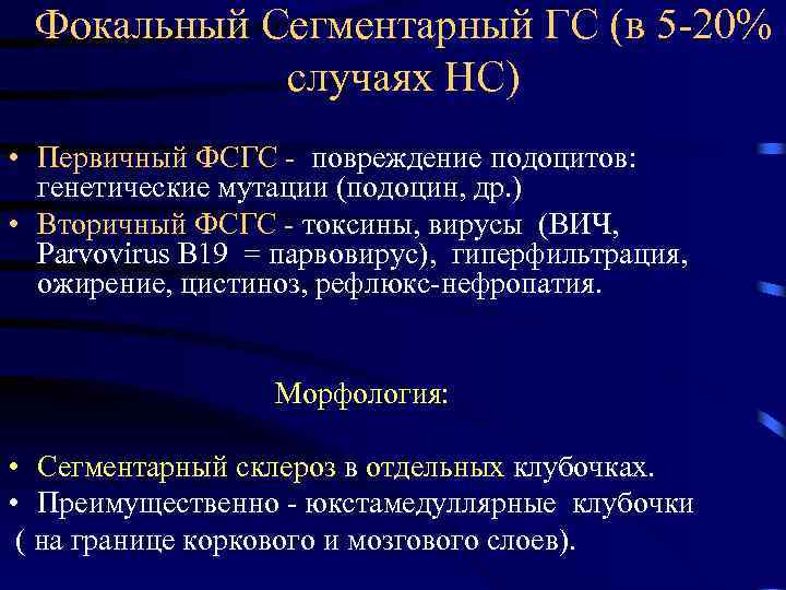 Фокальный Сегментарный ГС (в 5 -20% случаях НС) • Первичный ФСГС - повреждение подоцитов: