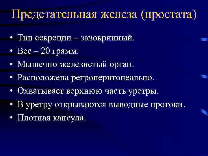 Предстательная железа (простата) • • Тип секреции – экзокринный. Вес – 20 грамм. Мышечно-железистый