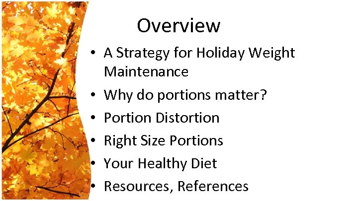 Overview • A Strategy for Holiday Weight Maintenance • Why do portions matter? •