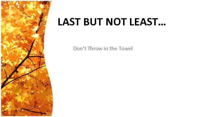 LAST BUT NOT LEAST… Don’t Throw in the Towel 