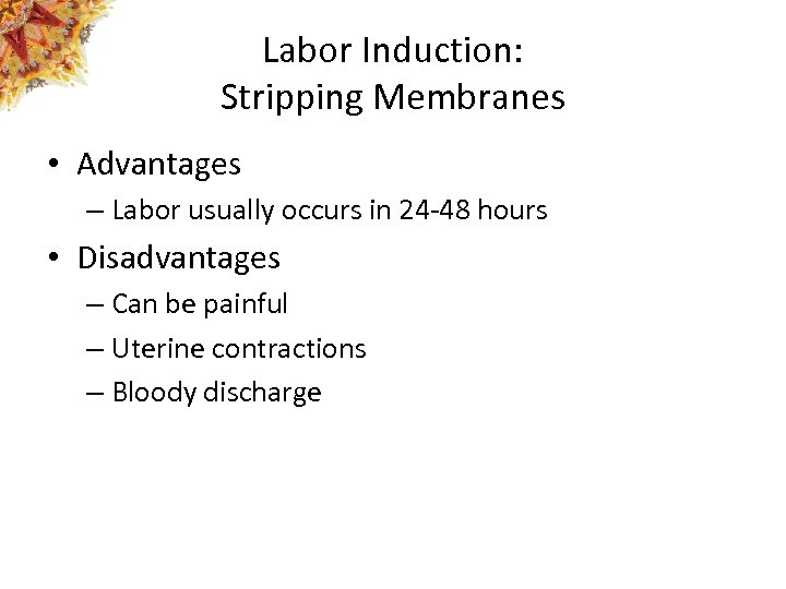 Labor Induction: Stripping Membranes • Advantages – Labor usually occurs in 24 -48 hours