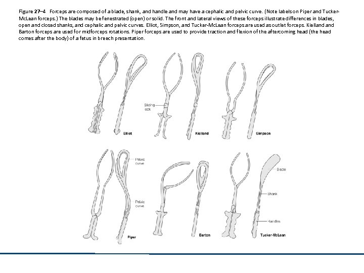 Figure 27– 4 Forceps are composed of a blade, shank, and handle and may