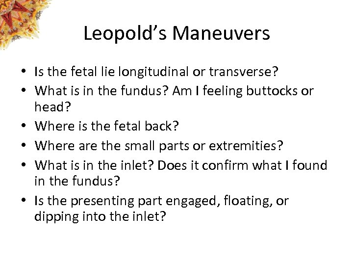 Leopold’s Maneuvers • Is the fetal lie longitudinal or transverse? • What is in