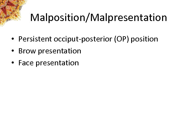 Malposition/Malpresentation • Persistent occiput-posterior (OP) position • Brow presentation • Face presentation 