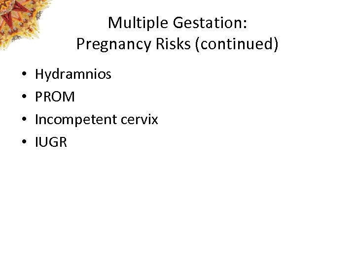 Multiple Gestation: Pregnancy Risks (continued) • • Hydramnios PROM Incompetent cervix IUGR 