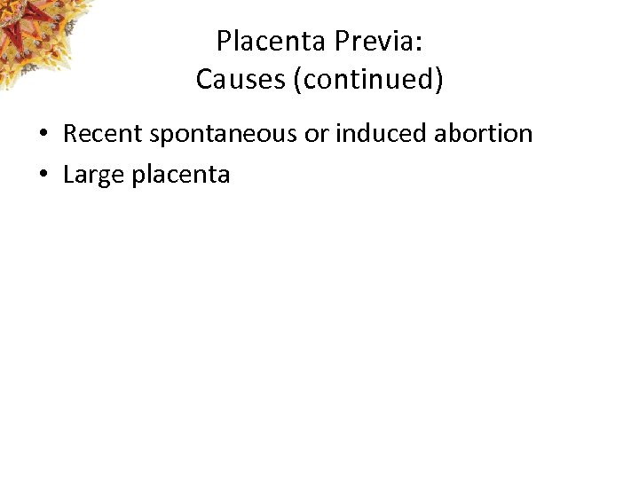 Placenta Previa: Causes (continued) • Recent spontaneous or induced abortion • Large placenta 