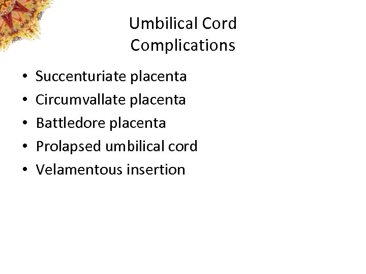 Umbilical Cord Complications • • • Succenturiate placenta Circumvallate placenta Battledore placenta Prolapsed umbilical