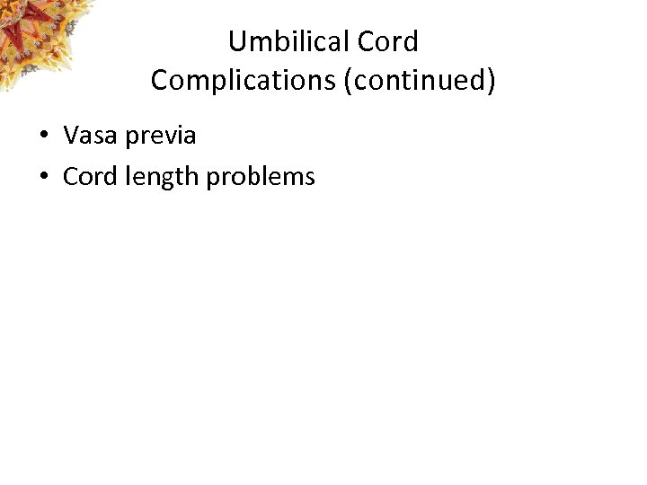 Umbilical Cord Complications (continued) • Vasa previa • Cord length problems 