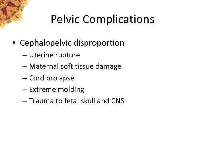 Pelvic Complications • Cephalopelvic disproportion – Uterine rupture – Maternal soft tissue damage –