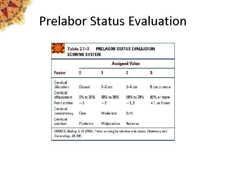 Prelabor Status Evaluation 