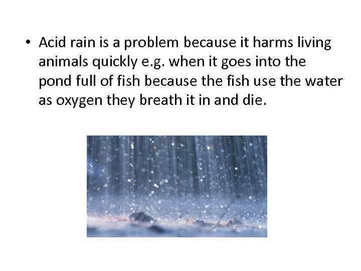 • Acid rain is a problem because it harms living animals quickly e.