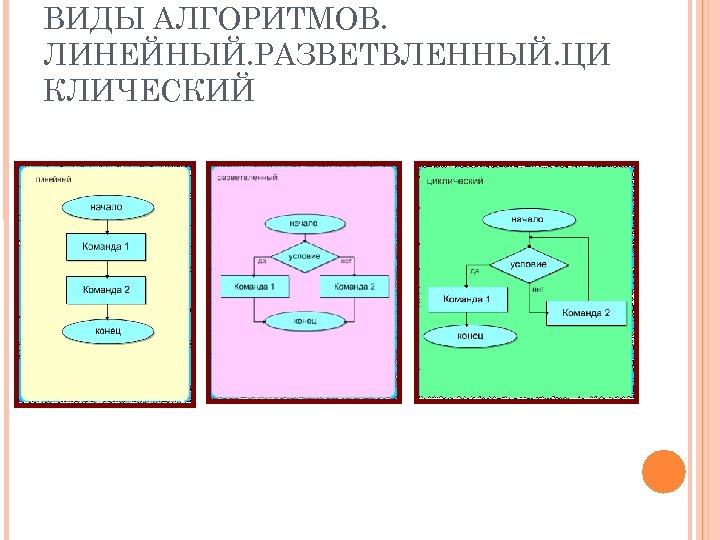 ВИДЫ АЛГОРИТМОВ. ЛИНЕЙНЫЙ. РАЗВЕТВЛЕННЫЙ. ЦИ КЛИЧЕСКИЙ 