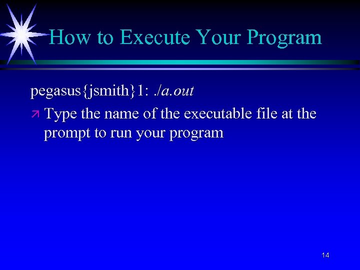 How to Execute Your Program pegasus{jsmith}1: . /a. out ä Type the name of