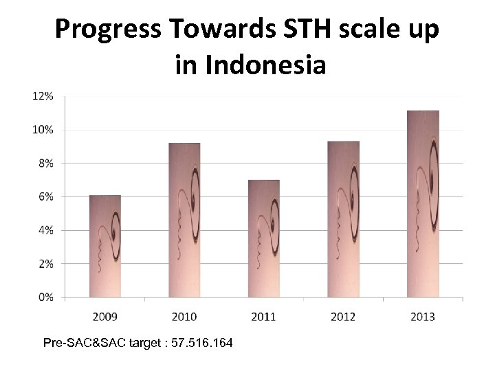 Progress Towards STH scale up in Indonesia Pre-SAC&SAC target : 57. 516. 164 