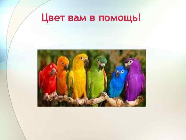 Цвет вам в помощь! 