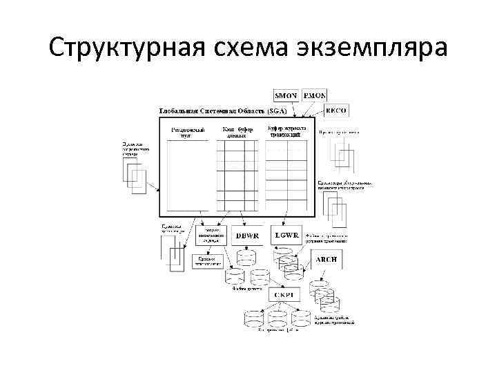 Структурная схема экземпляра 