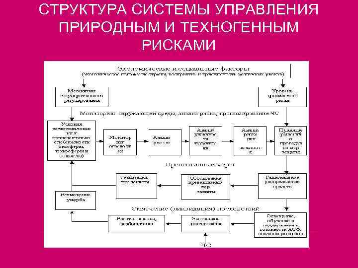 СТРУКТУРА СИСТЕМЫ УПРАВЛЕНИЯ ПРИРОДНЫМ И ТЕХНОГЕННЫМ РИСКАМИ 