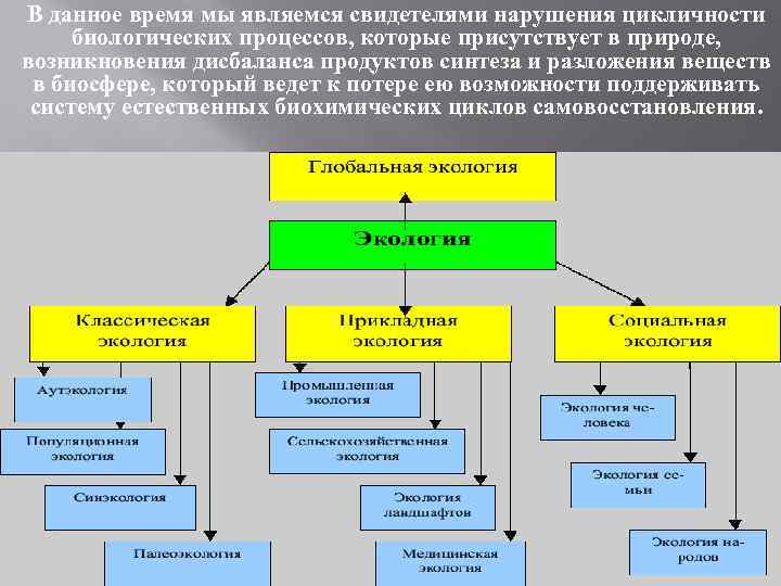 В данное время мы являемся свидетелями нарушения цикличности биологических процессов, которые присутствует в природе,