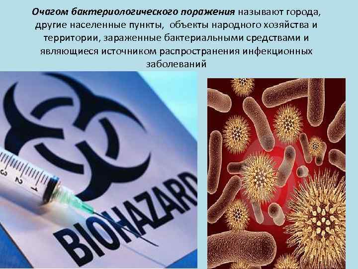 Очагом бактериологического поражения называют города, другие населенные пункты, объекты народного хозяйства и территории, зараженные