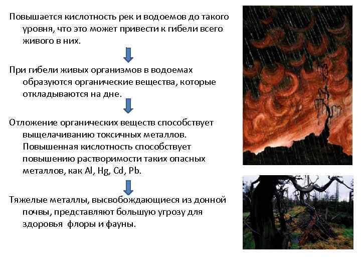 Повышается кислотность рек и водоемов до такого уровня, что это может привести к гибели