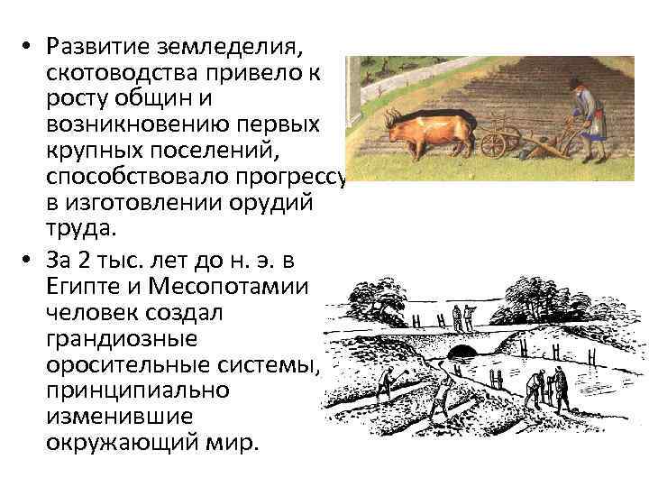  • Развитие земледелия, скотоводства привело к росту общин и возникновению первых крупных поселений,