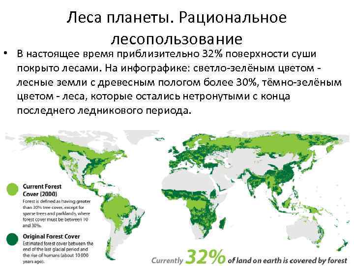 Леса планеты. Рациональное лесопользование • В настоящее время приблизительно 32% поверхности суши покрыто лесами.