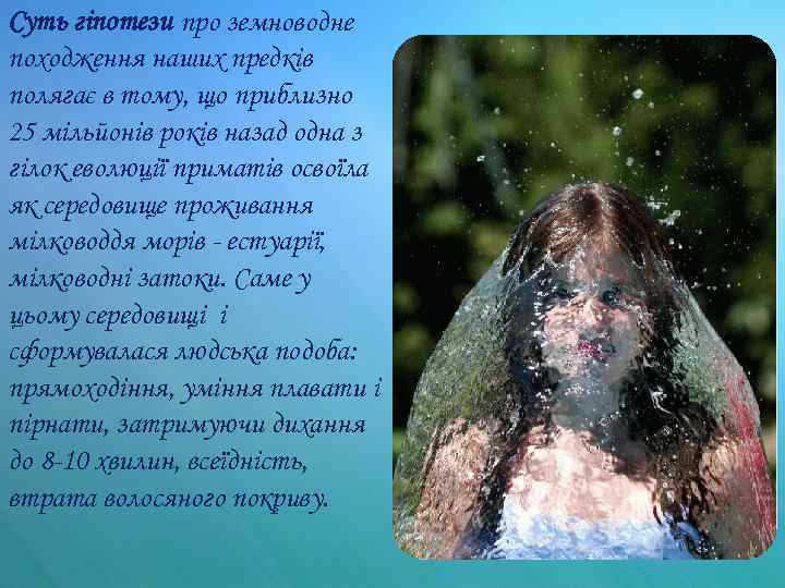 Суть гіпотези про земноводне походження наших предків полягає в тому, що приблизно 25 мільйонів