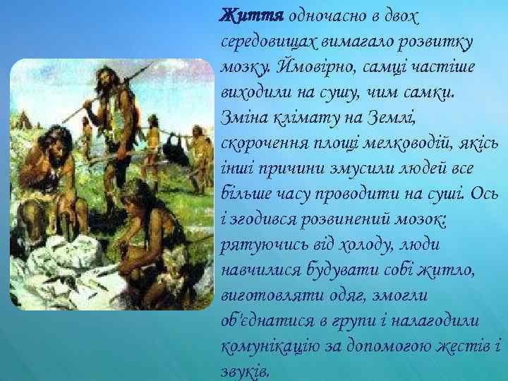 Життя одночасно в двох середовищах вимагало розвитку мозку. Ймовірно, самці частіше виходили на сушу,