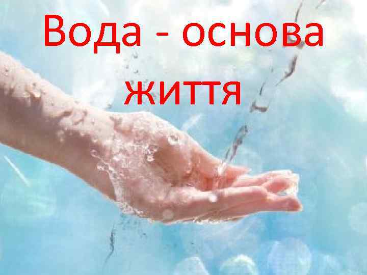 Вода - основа життя 