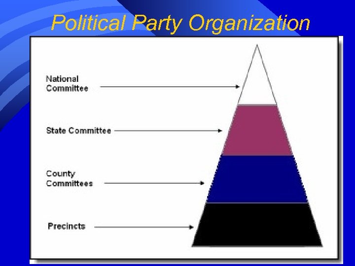 Political Party Organization 