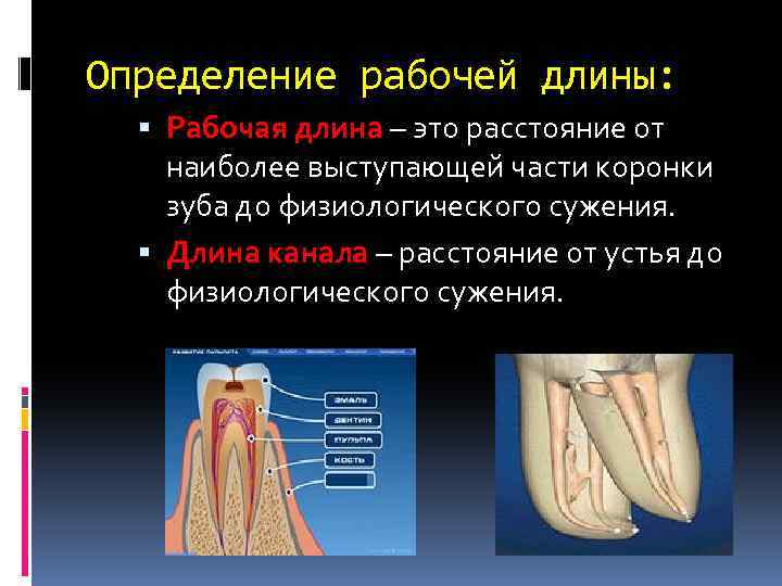 Рабочая длина