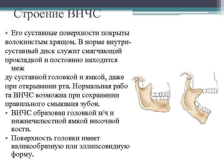 Строение ВНЧС • Его суставные поверхности покрыты волокнистым хрящом. В норме внутрисуставный диск служит