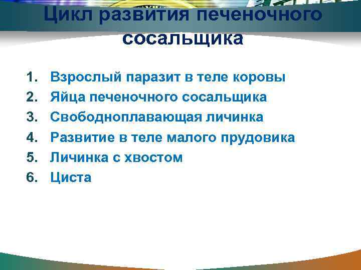 Цикл развития печеночного сосальщика 1. 2. 3. 4. 5. 6. Взрослый паразит в теле