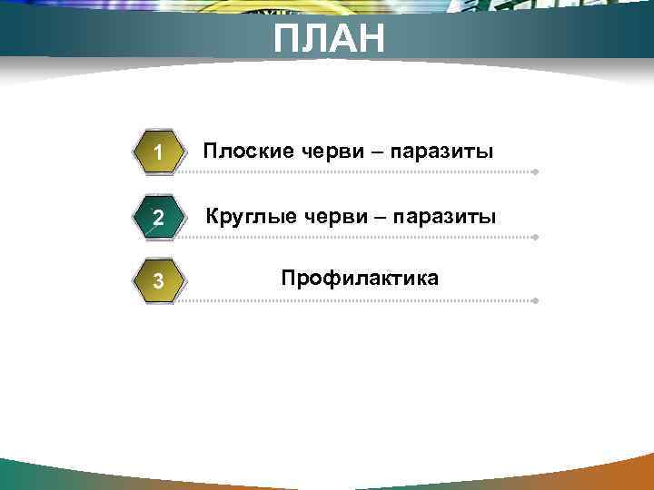 ПЛАН 1 Плоские черви – паразиты 2 Круглые черви – паразиты 3 Профилактика 