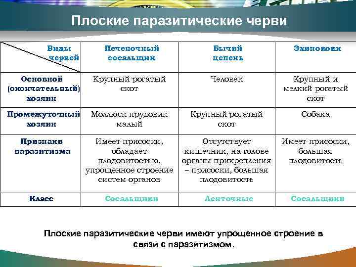 Плоские паразитические черви Виды червей Печеночный сосальщик Бычий цепень Эхинококк Основной (окончательный) хозяин Крупный
