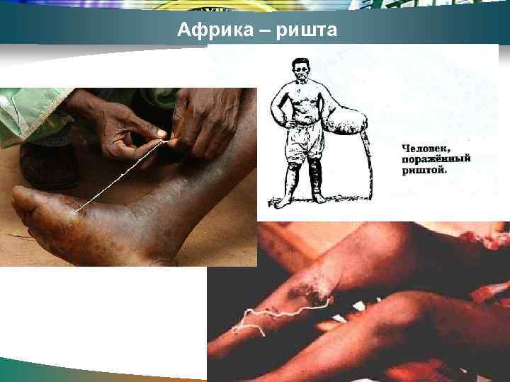 Африка – ришта 