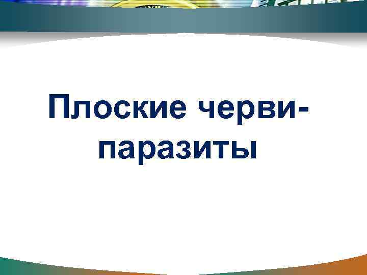 Плоские червипаразиты 