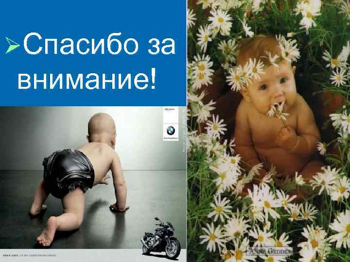 ØСпасибо за внимание! 