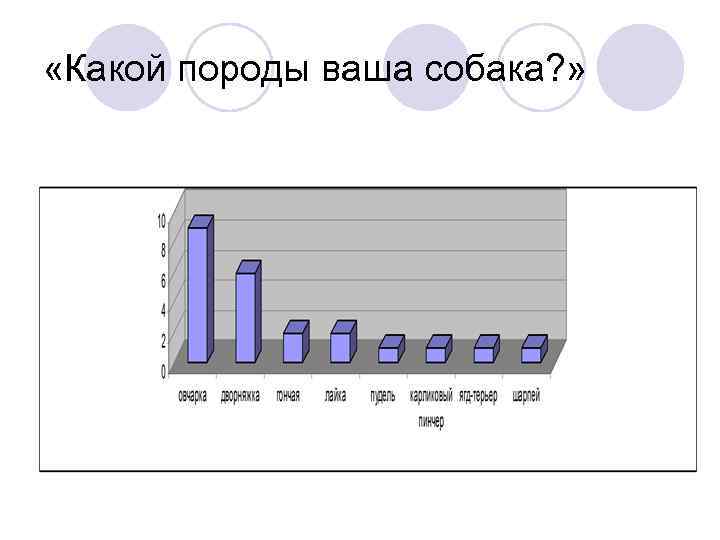  «Какой породы ваша собака? » 