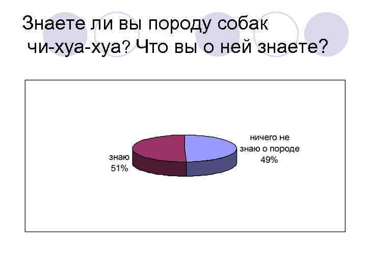 Знаете ли вы породу собак чи-хуа? Что вы о ней знаете? 