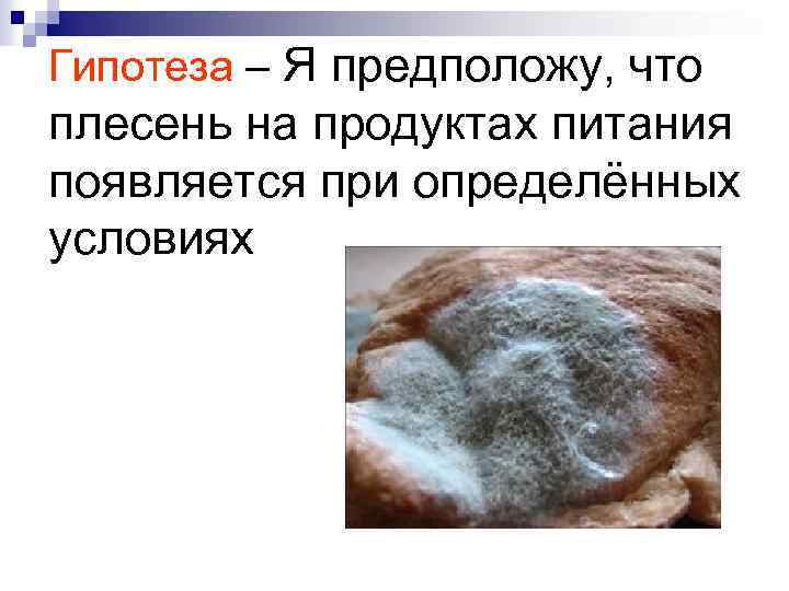 Гипотеза – Я предположу, что плесень на продуктах питания появляется при определённых условиях 