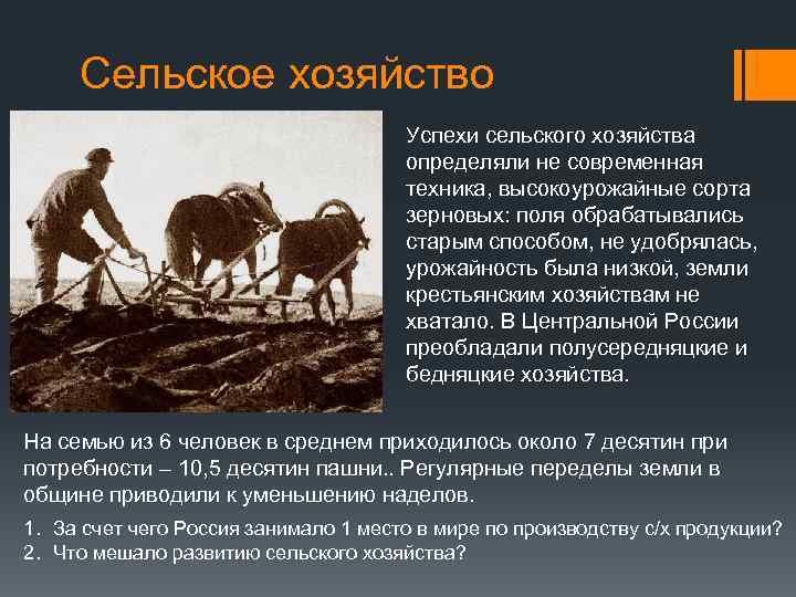 Сельское хозяйство Успехи сельского хозяйства определяли не современная техника, высокоурожайные сорта зерновых: поля обрабатывались