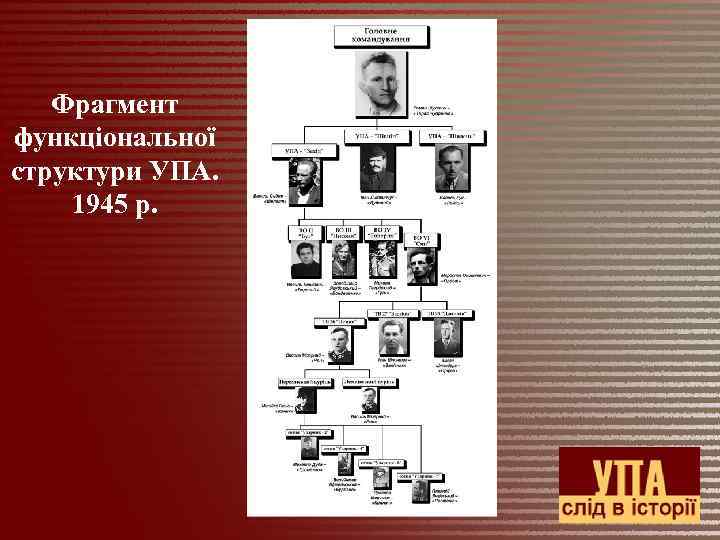 Фрагмент функціональної структури УПА. 1945 р. 