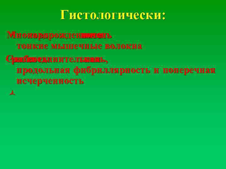 Гистологически: Миокард ñ новорожденного имеет очень тонкие мышечные волокна Сразвиты ñ соединительная лабо ткань,