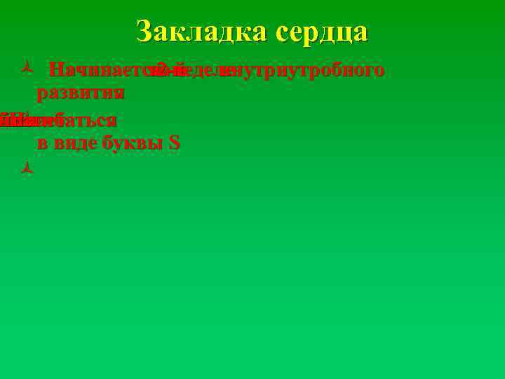 Закладка сердца ñ Начинается неделе на 2 -й внутриутробного развития бка леñ й. На