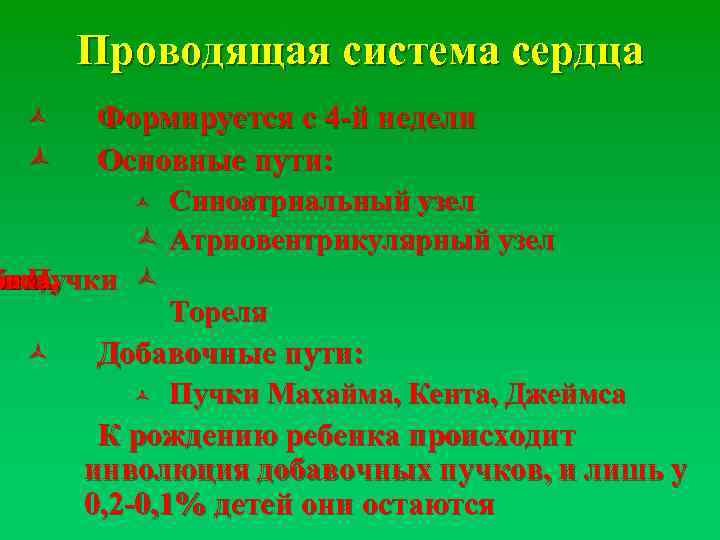 Проводящая система сердца ñ ñ Формируется с 4 -й недели Основные пути: Синоатриальный узел