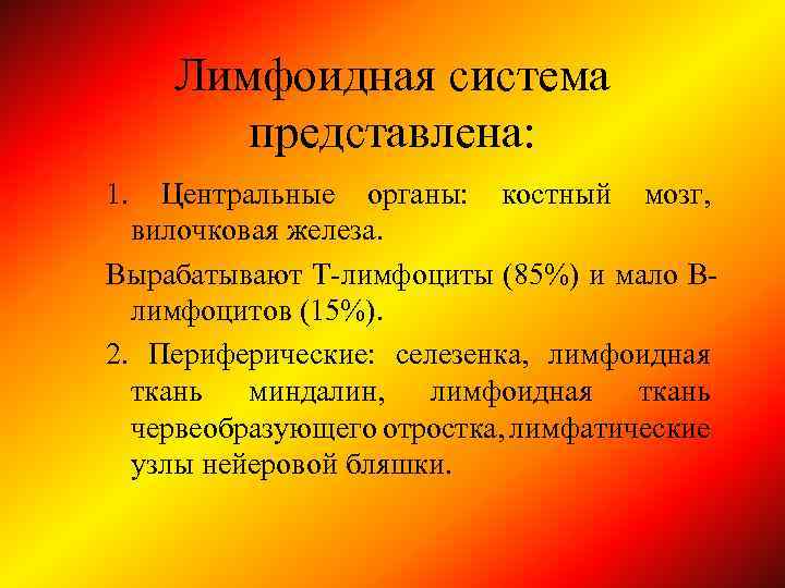 Лимфоидная система представлена: 1. Центральные органы: костный мозг, вилочковая железа. Вырабатывают Т-лимфоциты (85%) и